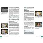 Texte: "Das HLG-Profil aktivieren", "Belichtung mit einem Zebra prüfen", "Zebra-Setting", "Überbelichtete Bildstellen". Links Grafik mit Texten, rechts zwei Fotos von Personen.