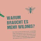 Text: "Warum braucht es mehr Wildnis?" Illustration einer Biene und Pflanzenblatt in grün auf rosa Hintergrund.