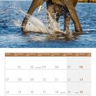 Kalenderblatt für Juni 2027. Oben ein Elefant im Wasser, lebendig und dynamisch, umgeben von Natur.