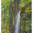 6 2027; Menacher Wasserfall, Schwarzwald, Baden-Württemberg. Ein Wasserfall im Wald umgeben von üppigem Grün.