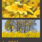 6 · 2027. Gelbe Blumen, Klippe am Meer, blühendes Feld mit Bäumen, Kalender mit Juni-Tagen darunter.