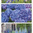 Juni. Darunter eine Kalenderleiste. Oben Blumenbilder: Iris, Hortensien und Rittersporn vor einem Gebäude.