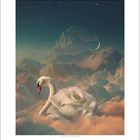 Kalenderseite mit Datumseinteilung für Juni. Illustration: Schwan, weiße Rose, Wolken, Sternenhimmel, Mondsichel.