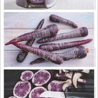 Lila Macarons, lila Karotten, lila Kartoffelscheiben mit Messer. Kalender unten: Monat Juni mit Datumsangaben.