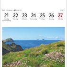 Kalender: Juni, Woche 25, 21.–27. Schöne Küstenlandschaft mit grünen Klippen und rosa Blumen, Blick auf die Skellig Islands.