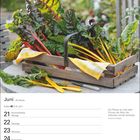 Juni-Kalender mit Mangold in Holzkiste und dem Zitat von Friedrich Schlegel.