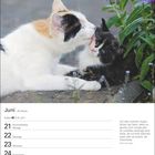 Kalenderseite Juni 25. Woche. Zitat von Edith Carrington über eine Katze mit Kätzchen. Zwei Katzen, Pflanzen im Hintergrund.