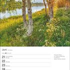 Juni, 25. Woche. Tage: 21-27. Sommeranfang am 21. "Wie das Wetter am Siebenschläfertag, so bleibt es sieben Wochen danach." Birken am See bei Sonnenuntergang.