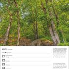 Juni-Kalenderblatt mit Waldaufnahme oben. Text erläutert Flaumeichen. Gedicht unten rechts, Kalenderdaten links.