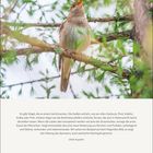Text: "Es gibt Vögel, die es einem leichtmachen... polnische Nachtigall genannt." - Jakob Augstein. Unten die Daten 8. bis 14. März.  
Bild: Ein Vogel sitzt singend auf einem Zweig im Wald.