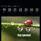 Kalender: Juli, Woche 29, 19.–25. Ein Marienkäfer auf einem Grashalm mit Wassertropfen. Text: "Stay hydrated!"