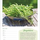 Juni | Juli, Stangenbohnen: Ursprung, Nährstoffe, Tipp. Schale mit grünen Bohnen und Kräutern auf Holztisch im Freien.