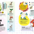 4 interessante Pokémon. Erstaunlich! Pokémon für jede Jahreszeit. Echt?! Typisches Merkmal.