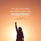 „Wen der Zorn packt, der verliert zuerst den Verstand.“ - Publilius Syrus. Eine Person hebt die Faust vor Sonnenuntergang.