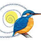 "EISVOGEL" spiralförmig um einen stilisierten, farbenfrohen Eisvogel auf einem Ast.