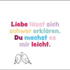 "Liebe lässt sich schwer erklären. Du machst es mir leicht." Darunter sind zwei gezeichnete Vögel mit einem Herz.