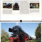 "Dampfgigant 01 1104." Eine große, schwarze Dampflokomotive fährt auf gleisartigen Schienen, umgeben von Bäumen und Gras.
