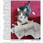 Verhalten: Der Reißreflex. Text erklärt Katzenverhalten beim Zerreißen von Papier. Foto zeigt Katze auf rotem Teppich mit zerrissenem Papier.