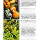 "Die Pflanzen in einem Waldgarten." Links oben bunte Kürbisse, darunter grüne Salatblätter mit roten Flecken.