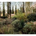 Ein üppiger Garten mit verschiedenen Pflanzen, Büschen und Bäumen. Ein gepflasterter Weg schlängelt sich hindurch.