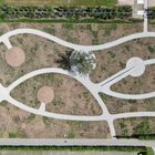 Ein Garten mit geschwungenen, vernetzten Pfaden, kreisförmigen Sandflächen und vereinzelten Bäumen, aus der Vogelperspektive.