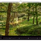 Juni; Sonniger Junitag im schattigen Kinzigtal. Ein grüner Wald mit sonnenbeschienenen Bäumen und einem ruhigen Fluss.