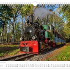 „Juni“ und „Parkeisenbahn durch den Chemnitzer Küchwald“. Eine historische Dampflok fährt durch einen grünen Wald.