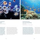 Zwei Bilder mit Meereslebewesen. Links: Plankton, durchsichtig leuchtend. Rechts: Fahnenbarsche, orange Fische über Korallen.
