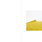 Sejong 2023. Rechts ist eine gelbe aufgerollte Oberfläche mit Textzeichen auf einem weißen Hintergrund.