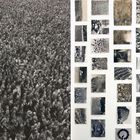 Linke Seite: Menschenmassen bei einer Sportveranstaltung; rechte Seite: 24 kleinere Bilder von großen Gruppen und Menschenansammlungen.