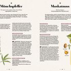 Links steht "Mönchspfeffer", rechts "Muskatnuss". In der Mitte sind Texte zur Anwendung und Eigenschaften.