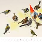 Kalender für Juni. Ein Gartenzwerg mit roter Mütze steht umgeben von verschiedenen Vogelarten.