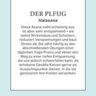 "Der Pflug" - Halasana: Beschreibung einer Yoga-Übung zur Entspannung und Dehnung von Wirbelsäule und Schultern.
