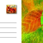 "Von den Waldtieren" auf einem Bild mit einer bunten Zeichnung eines Insekts auf grünen Blättern.