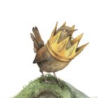 Ein kleiner Vogel trägt eine große goldene Krone und steht auf einem Hügel aus Moos.