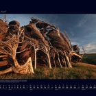 04 April. Am südlichen Kap Neuseelands haben starke Winde Bäume horizontal geformt. Kalender zeigt April 2023.