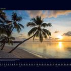 01 Januar. Kalenderansicht mit Palmen am Strand bei Sonnenuntergang, ruhiges Meer, Himmel mit Wolken.
