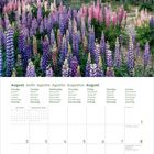Kalenderseite für August 2027 in mehreren Sprachen. Oben blühendes Feld mit bunten Lupinen vor einer Bergkulisse.