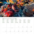April Kalenderblatt mit bunten Fischen an einem Korallenriff. Wochentage und Notizfeld unten.