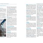 Seite 200–201: Infos über Vesuv, Pompeji, Herculaneum, Basics, Unterkünfte, Essen. Bild: Skulptur eines Fauns, Replik aus Pompeji.