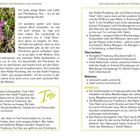 Lage: Das Naturschutzgebiet „Tote Täler“ liegt südwestlich der Stadt Freyburg. Distel-Illustration links.