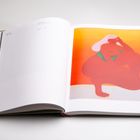 Links oben: "250 × 190 mm, 7.8×6.0×0.7 inch". Rechts unten: Seite 69. Illustration einer Frau mit weißem Haar.