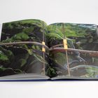 Illustration eines Landschaftspanoramas in einem Buch, zeigt grüne Hügel mit Beschriftungen von Orten und Wegen.