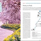 Warum im Frühling? Blühende Mandelbäume entlang einer kurvigen Straße. Rechts Karte der Deutschen Weinstraße.