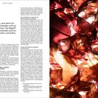 Text: „Was ist ein Dessert?“ Ein Artikel über die Bedeutung von Desserts mit braunen, blattartigen Elementen als Illustration.
