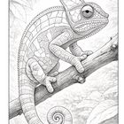Ein schraffiertes Chamäleon auf einem Ast, umgeben von Blättern, detailliert und illustrativ gestaltet.