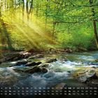 Kalender mit Tagen und Wochen. Ein klarer Bach fließt durch einen sonnendurchfluteten, grünen Wald.