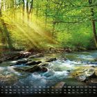 Kalendertage und Wochentage im Juni. Ein Fluss fließt durch einen grünen Wald mit Sonneneinstrahlung durch die Bäume.