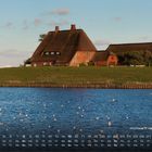 Kalender mit Datum und Wochentagen, Abbildung eines Reetdachhauses auf grüner Wiese vor einem Gewässer.