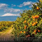 Kalender: "Sizilien - Ätna 6". Orangenbäume mit leuchtenden Früchten, im Hintergrund ein schneebedeckter Berg.